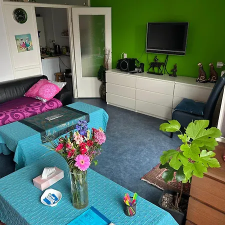 Calypso Bed & Breakfast